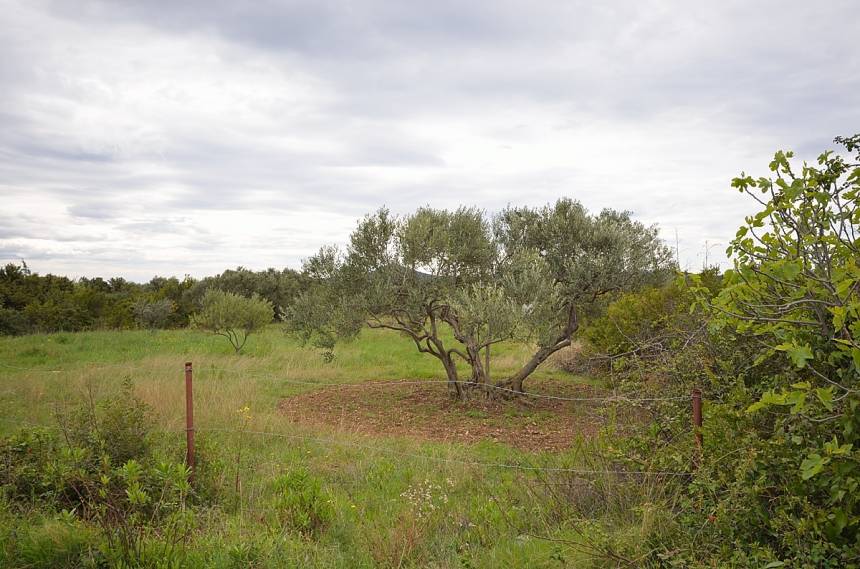 Chorwacja, Dalmacja Północna, Vodice - Działka, na sprzedaż