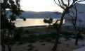 Croatia, Island of Pag,  - House, for sale