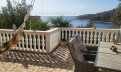 Croatia, Middle Dalmatia,  - House, for sale