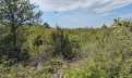 Croatia, North Dalmatia, Vodice - Plot, for sale