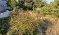 Croatia, North Dalmatia, Zadar - Plot, for sale